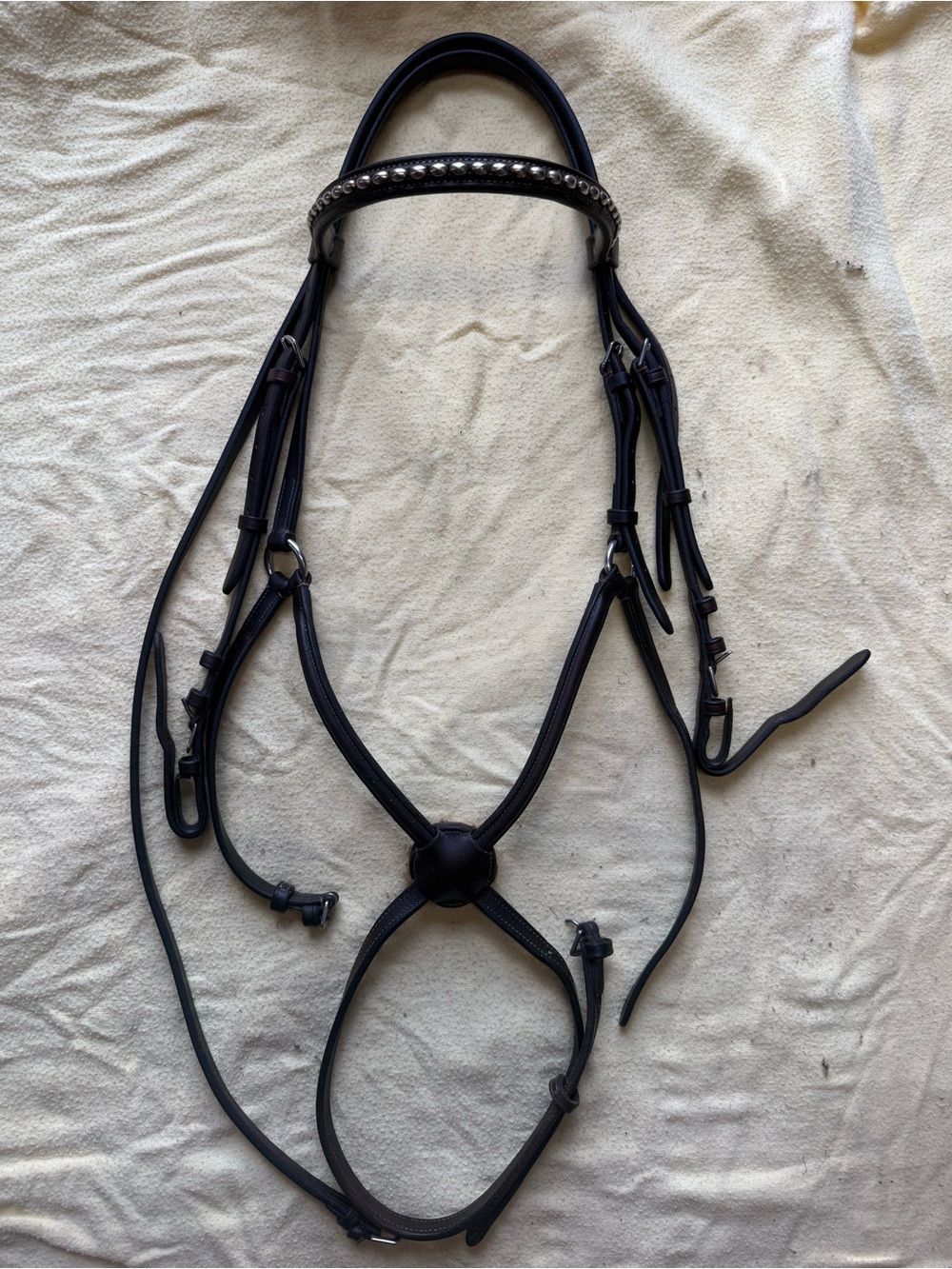 Bobbys figure 8 bridle
